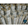 Pipe Fitting Stainless Steel Weld Neck RF Flange